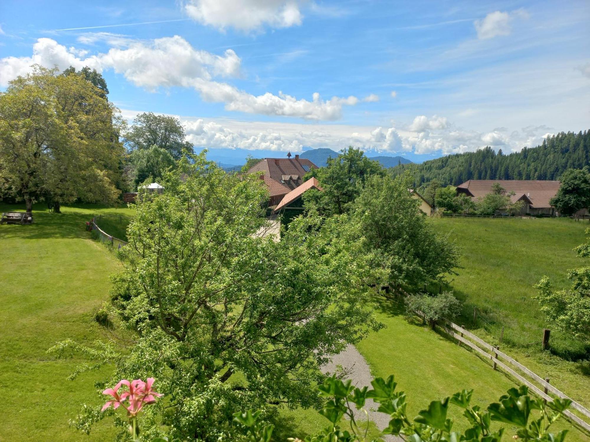 Steurer Hof Apartamento Liebenfels Exterior foto